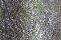 Mendham fibreglass roof work